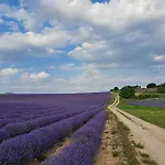 Casa Lavandula Villa