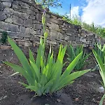 Casa Lavandula Villa *