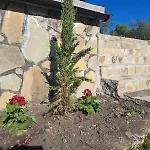 Casa Lavandula