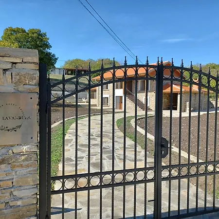 Casa Lavandula Vilă