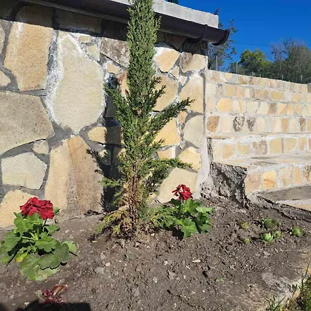Casa Lavandula