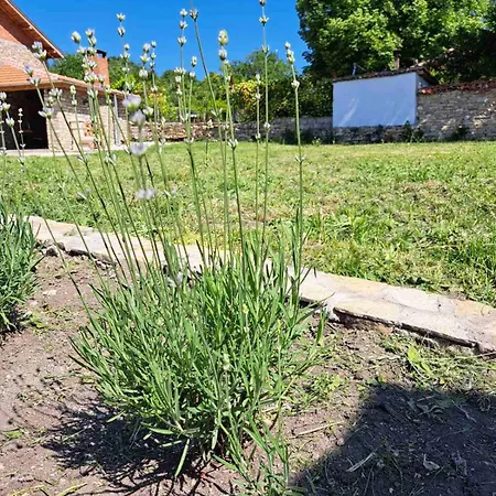 Vilă Casa Lavandula Sredno Gradishte
