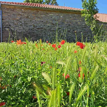 Casa Lavandula Sredno Gradishte
