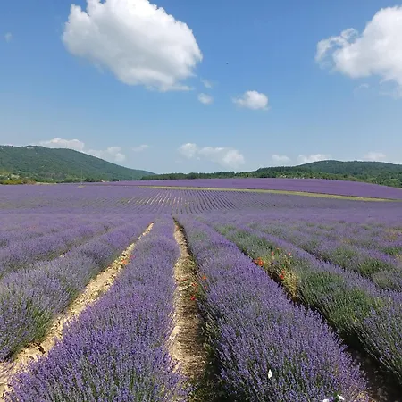 Casa Lavandula *
